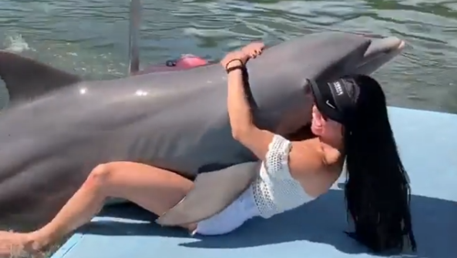 как дельфин трахает человека фото 45