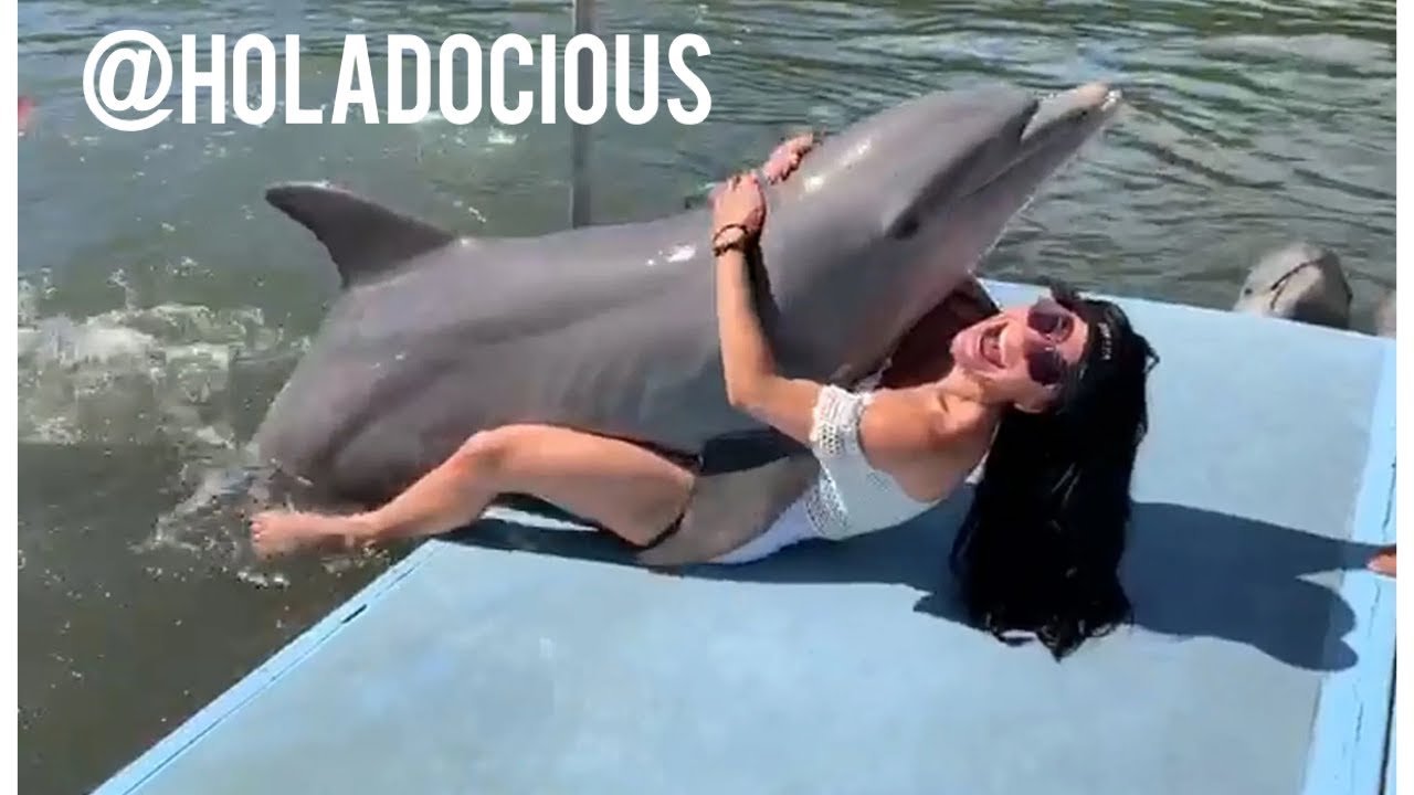 Dolphin fucks woman