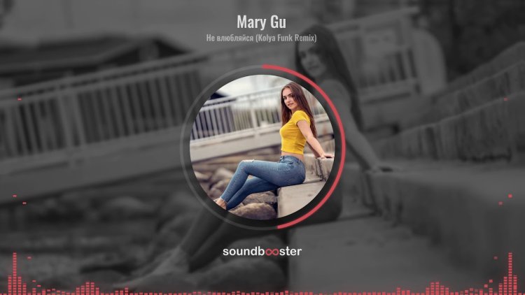 Mary gu do not fall in love with the text