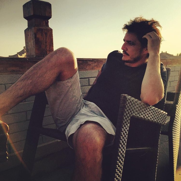 Pedro Pascal torso