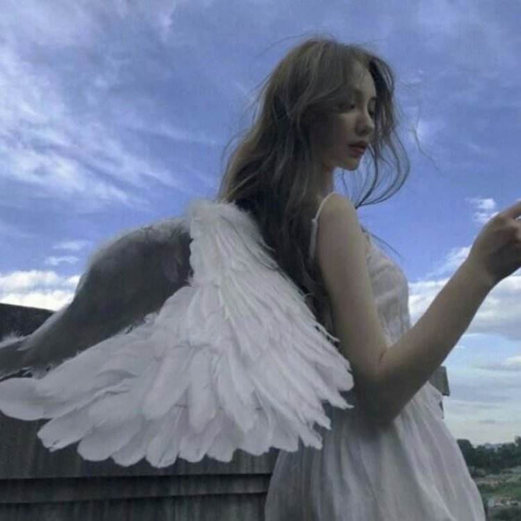 Girl with wings aesthetics