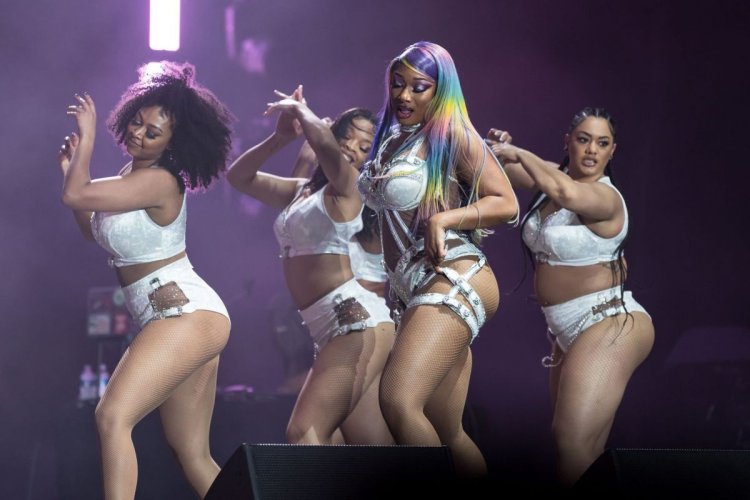 Megan Thee Stallion Plum