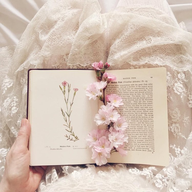 Dresses Gothic princess Lolita style