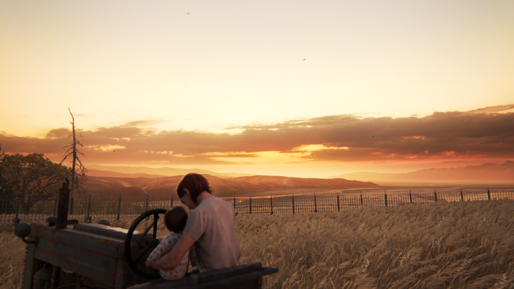 Landscapes and Ellie