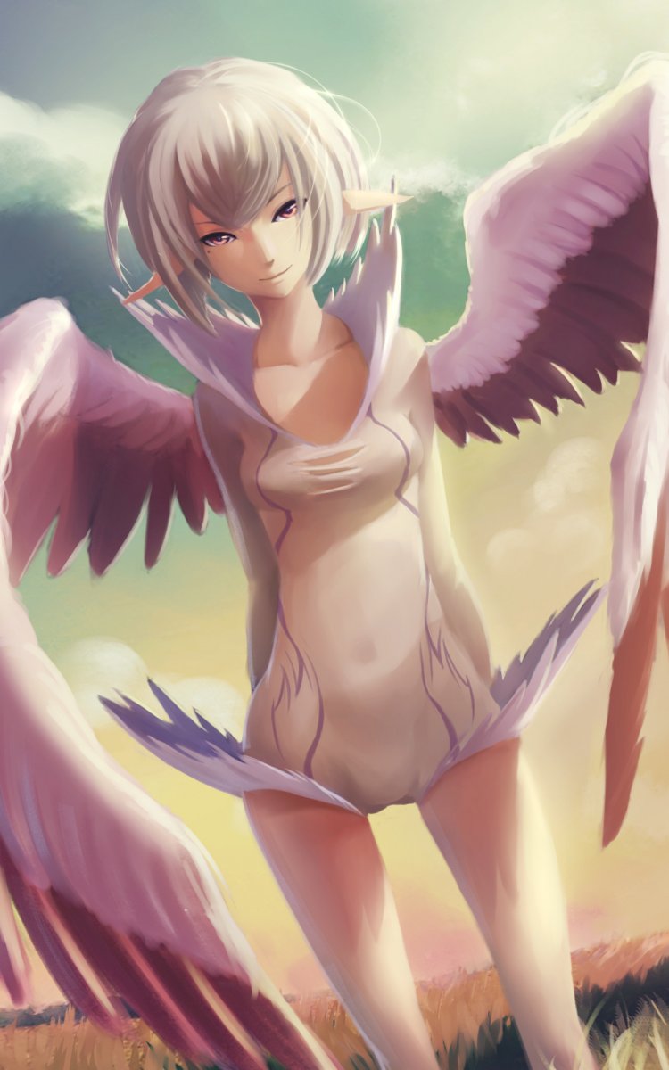A smile on the wings