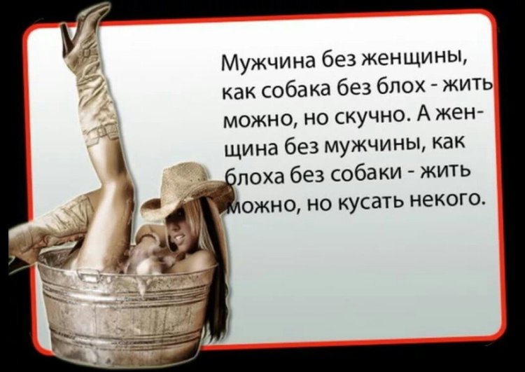 Statements about men and women