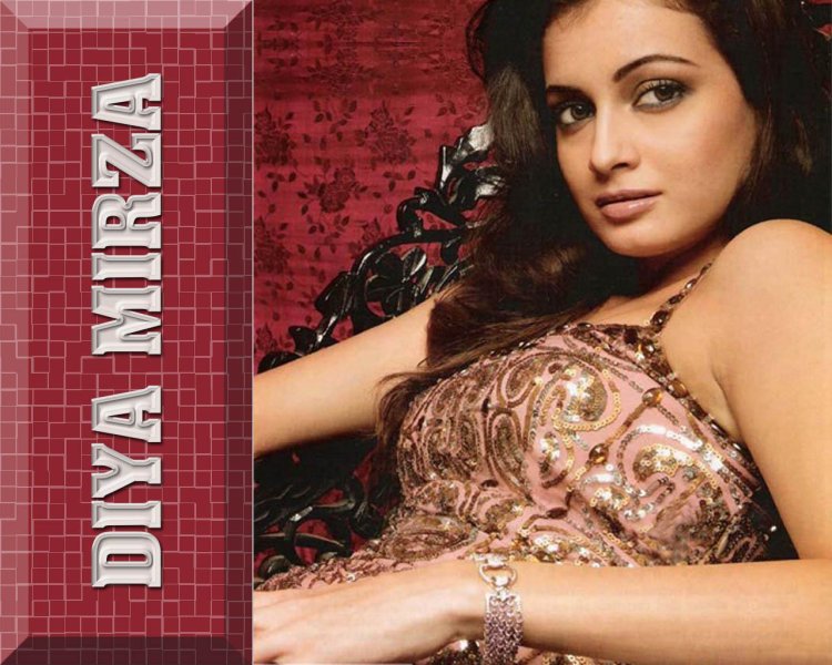 Dia Mirza photo in a swimsuit