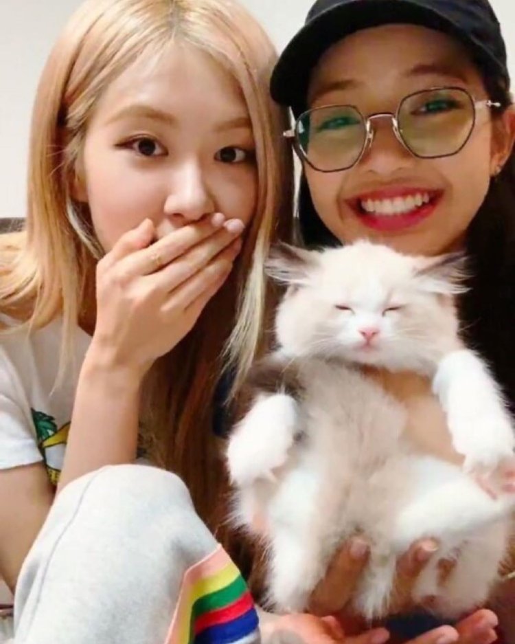 Lilly Ketchman photo shoot