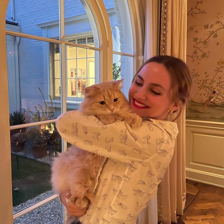 Lily Maimak Aesthetics