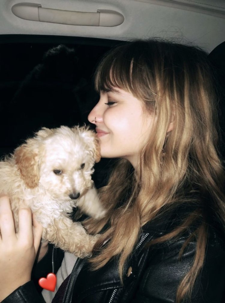 Dog Victoria de Angelis