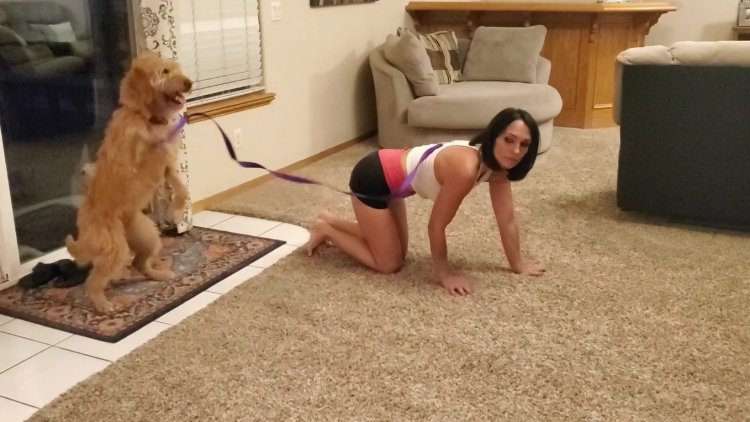 The woman seduces the dog