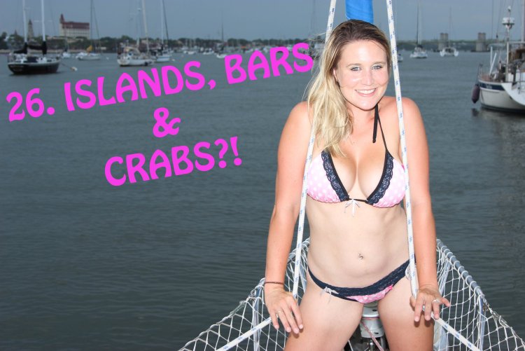 Lazy Gecko Sailing Adventures