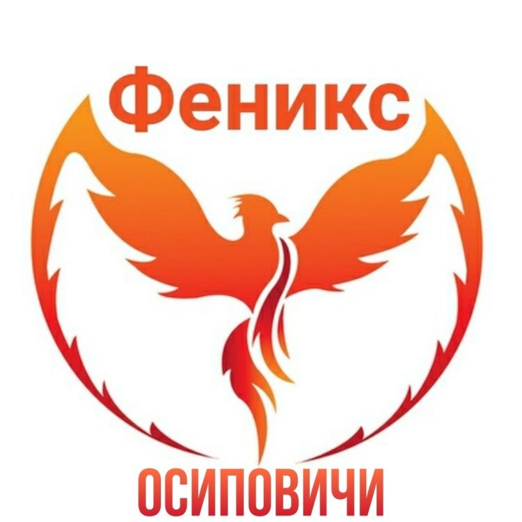 Search rescue squad Phoenix Mogilev