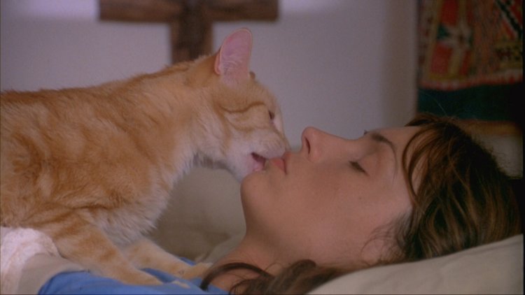 Famke Jansssen Lesbian. Sex