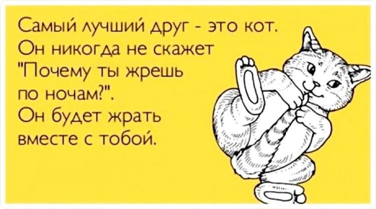 The neighbors learned the lessons, the dog retold