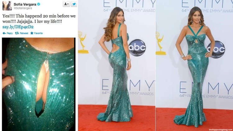 Sofia Vergar's nipples