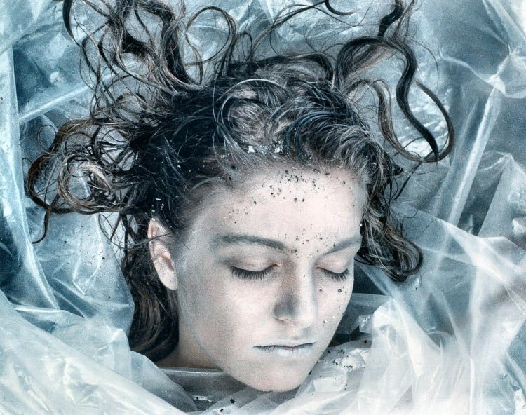 Paw Palmer Twin Peaks