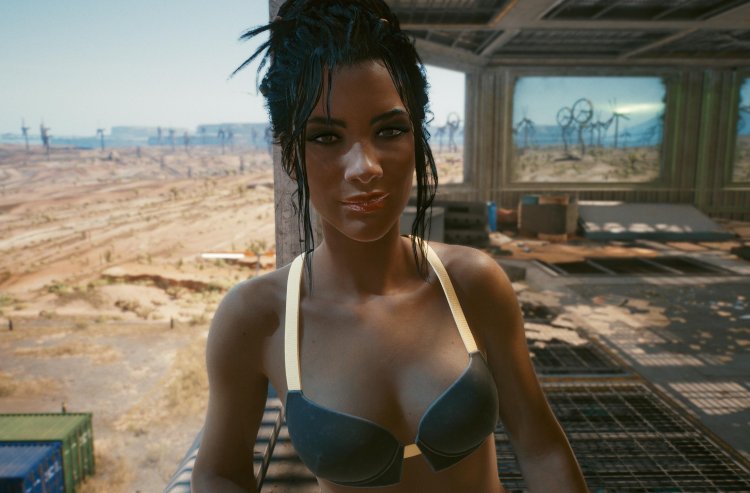 Panama Palmer Cyberpank