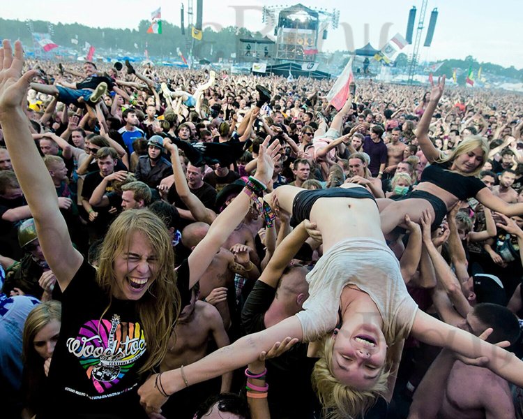 Jumps into the crowd