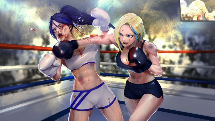 Catfight Boxing anime