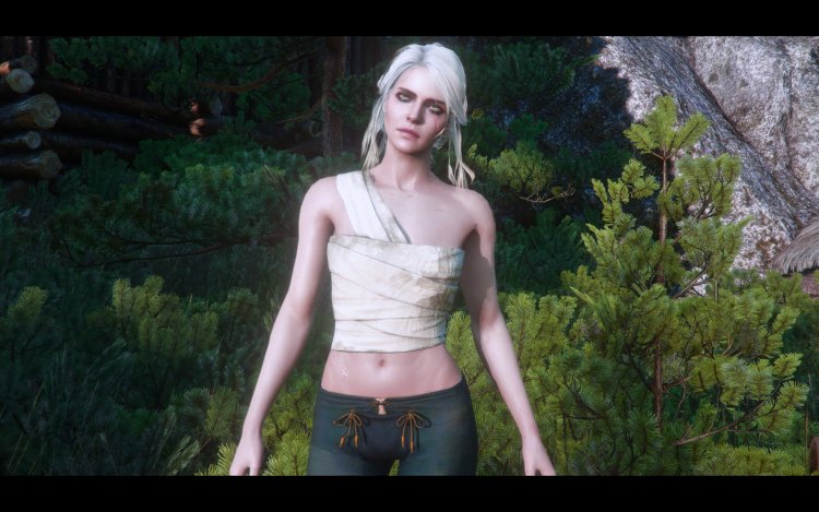 Witcher 3 Tsiri in the bath