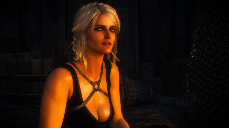 Witcher 3 Ciri Hot