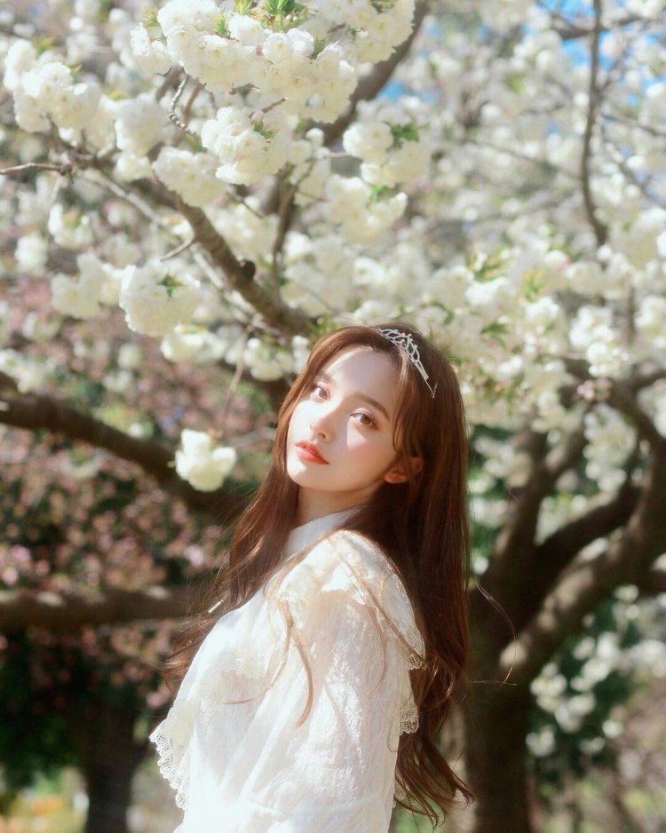 The unearthly beauty of the Korean