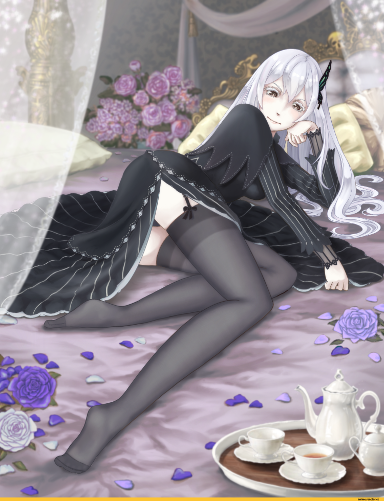 Echidna Re zero ecchi