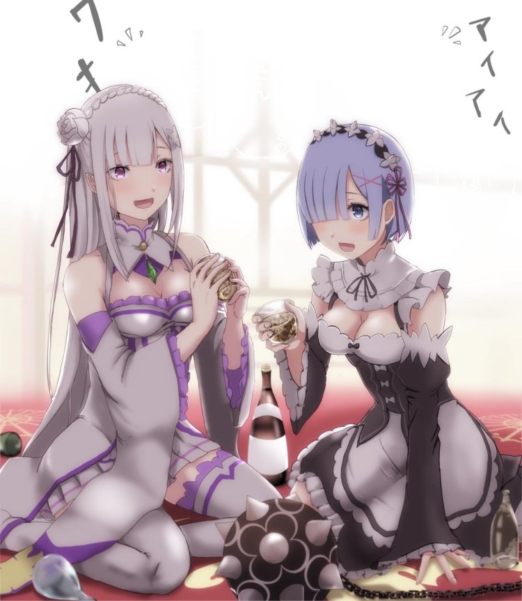 Re Zero Emilia and Rem