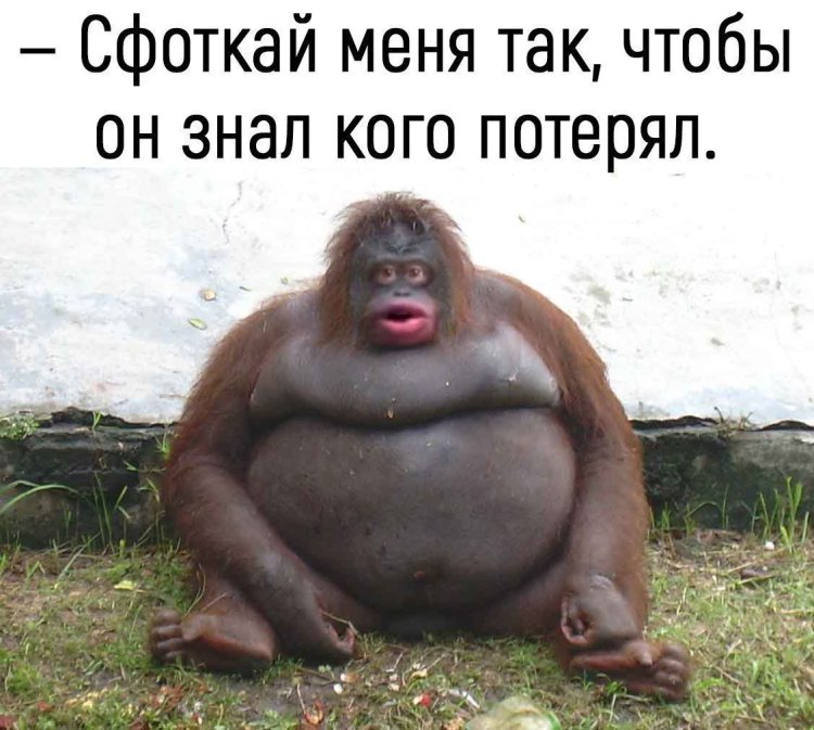 Take me off so that he knows who he lost