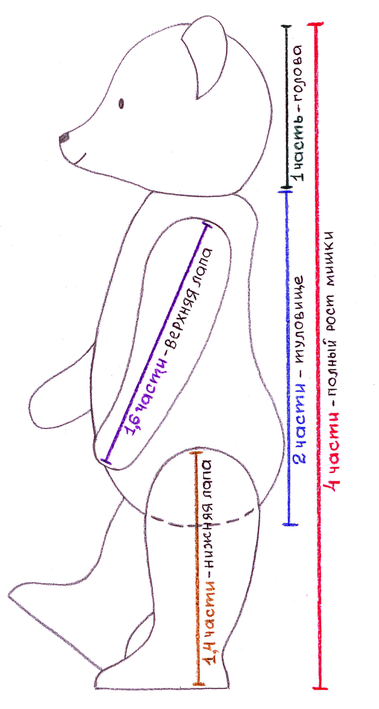 Patter of the classic bear Teddy