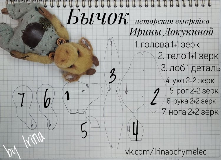 The pattern of the bullfinch Teddy