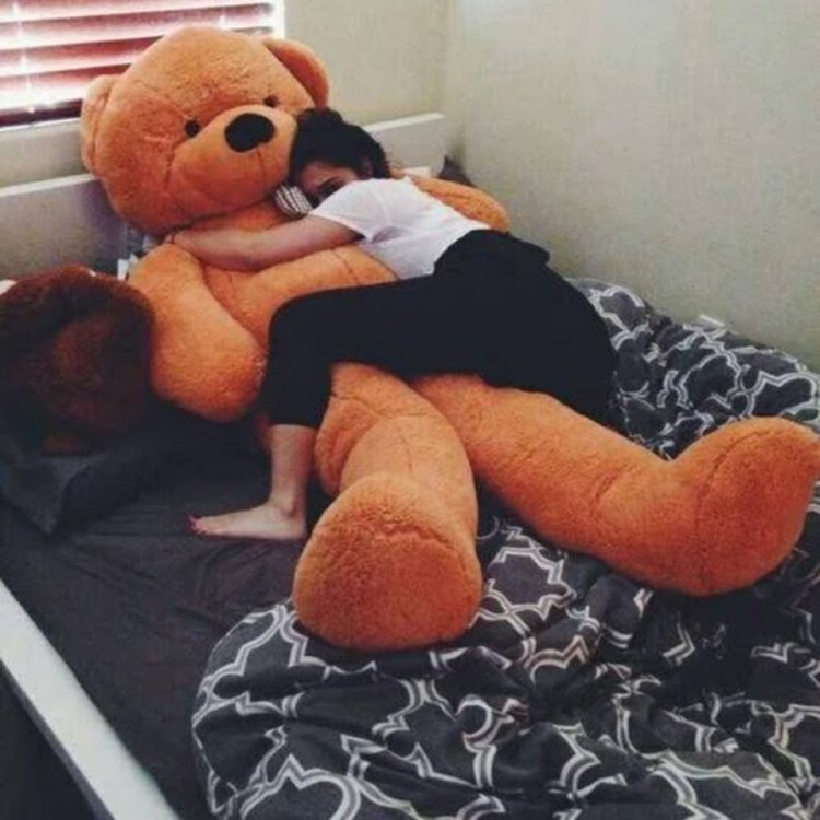 Plush bear of the Sokhra