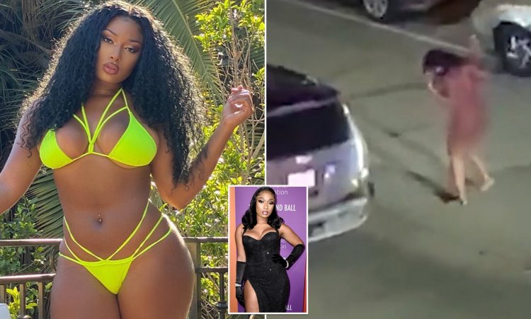 Megan The Stallion Growth