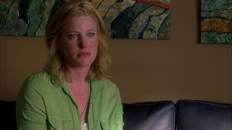 Skyler White treason