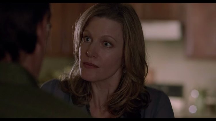 Skyler White Season 1