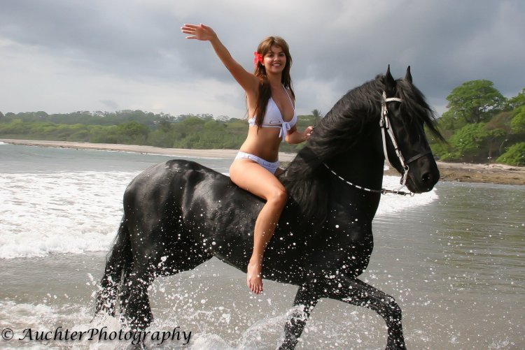 Sasha Lazareva Black Horse