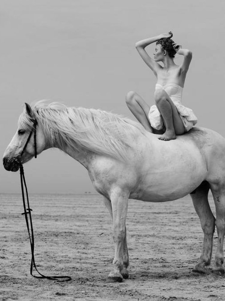 Photoshoot with the White Horse