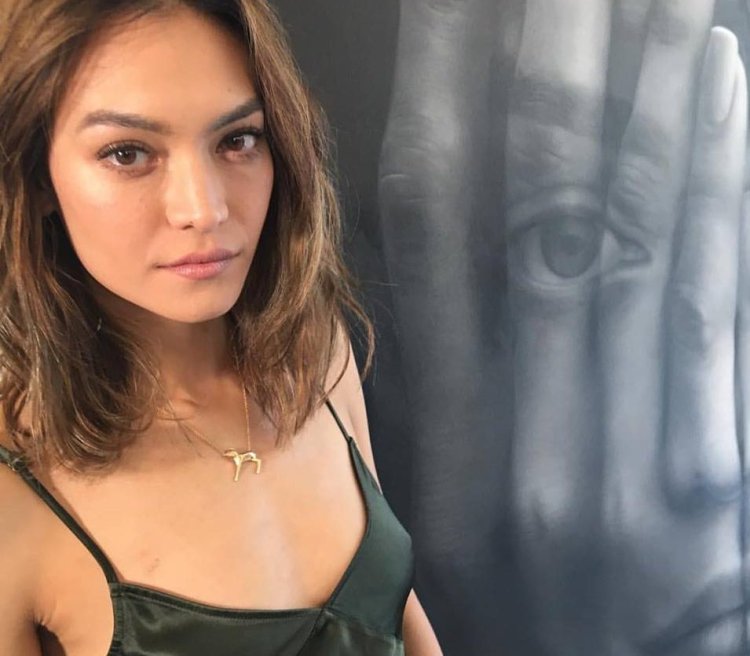 Florence Vanida Fade Agents Shield