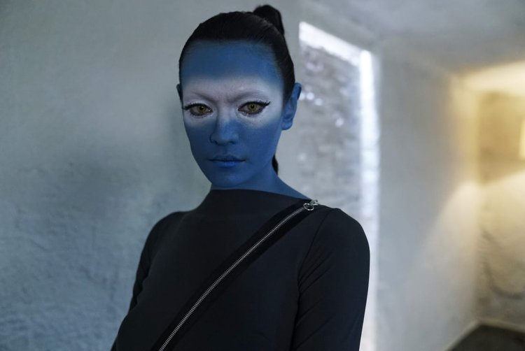 Florence Vanida Fade Agents Shield