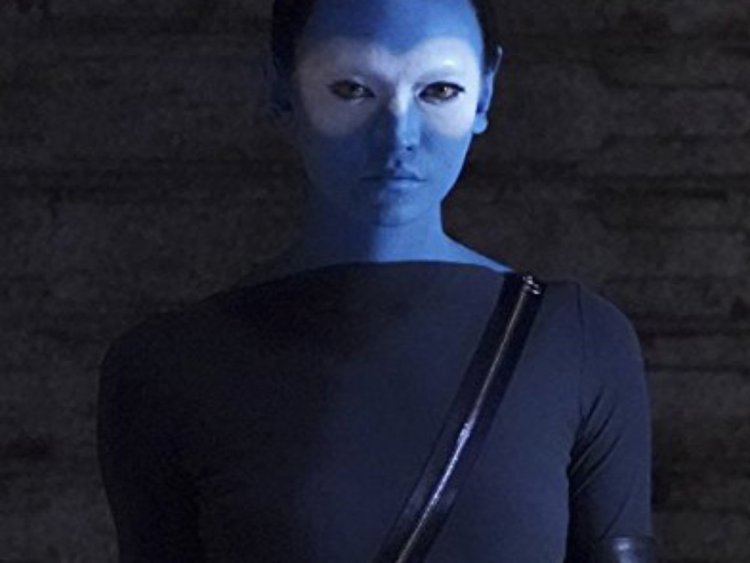 Sinara Agents Shield