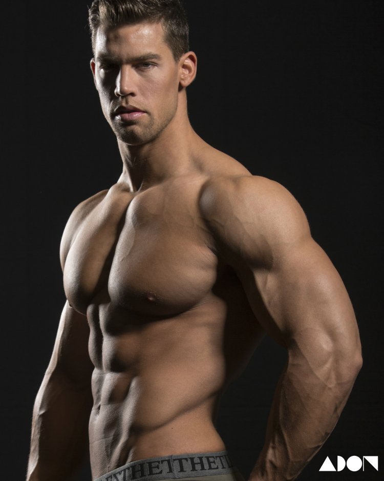 Fitness Model CSABA SZIGETI