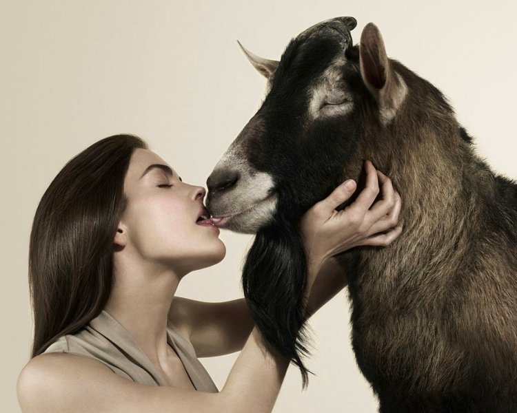 The girl kisses the goat