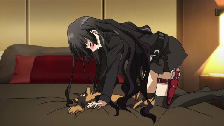 Dog & Inu to Hasami Wa Tsukaiyou