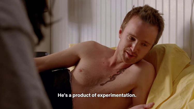 Aaron Paul King of Parties