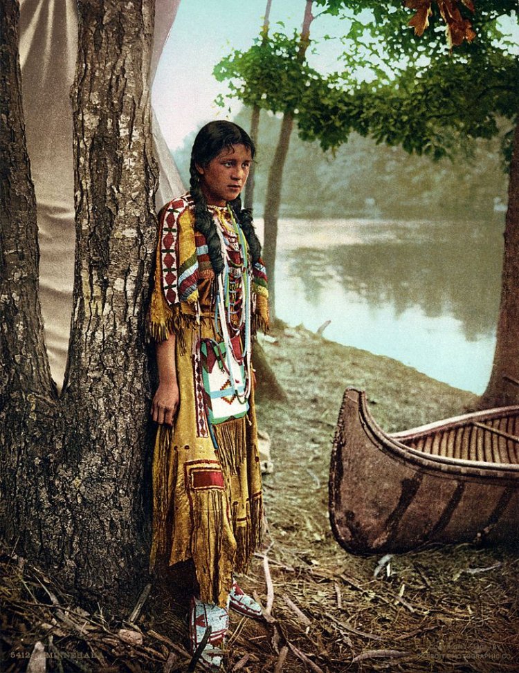 North America Indians of the 19th century