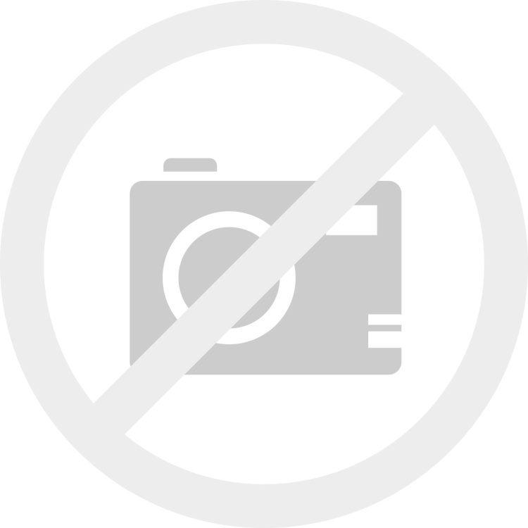 Shock absorber BPW 0303221590 right