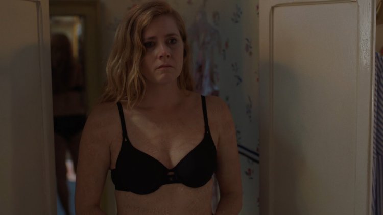 Amy Adams bed scenes