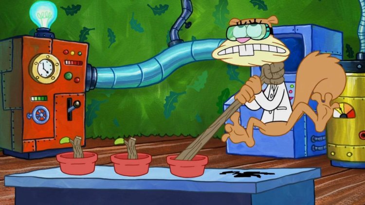 Sponge bob square pants Sandy