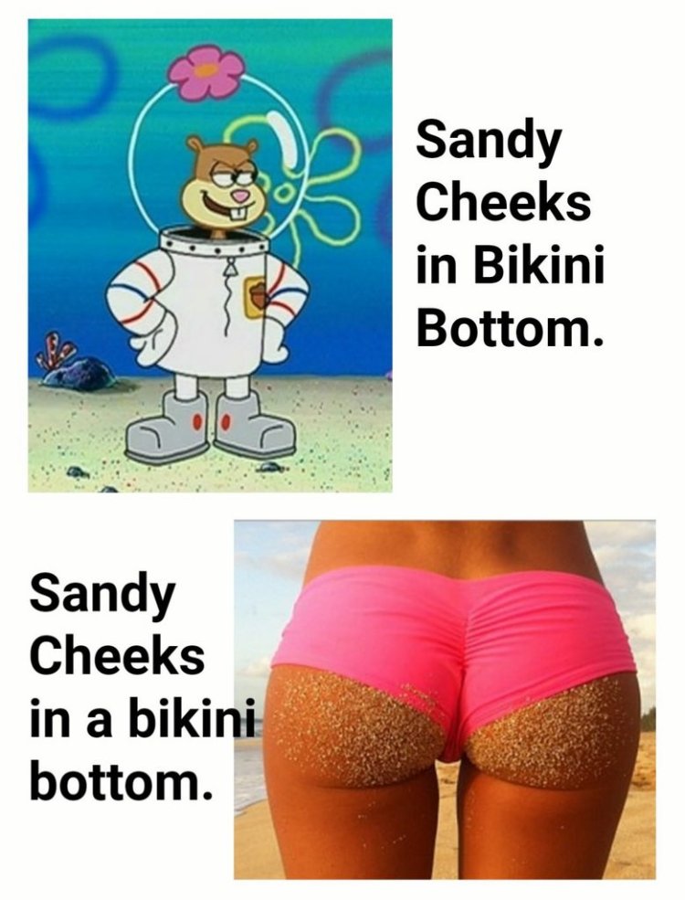 Sandy Bikini Bottom